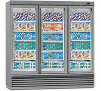 Armoire Négative Professionnelle 3 Portes EIS 165.3