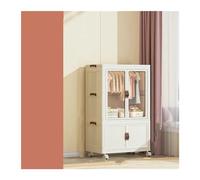 Armoire portable en toile pour chambre à coucher, armoire à vêtements pliable avec 2 armoires, idéale pour les maisons de location, meubles de maison pour le rangement des vêtements (65 cm)