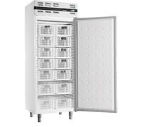 Armoire Réfrigérée Négative Porte Pleine et Groupe Logé Gaz R290-544 Litres - AFI Collin Lucy - BlancR290-1750Pleine x720x1995m