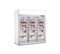 Congélateur armoire CombiSteel Armoire Réfrigérée Négative Professionnelle Blanche - 2 ou 3 Portes - - R290 - Acier inoxydable21880 mm1000Vitrée 1880x7