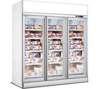 Armoire Réfrigérée Négative Professionnelle Blanche 2 ou 3 Portes Combisteel 1 G