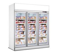 Armoire Réfrigérée Négative Professionnelle Blanche - 2 ou 3 Portes - Combisteel - Blanc - l1880- L1253- P710- h2092- Acier Inoxydab