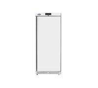 Armoire Réfrigérée Négative Semi Professionnelle 600 L