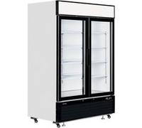 Armoire Réfrigérée Négative Vitrée LGF Tefcold 1