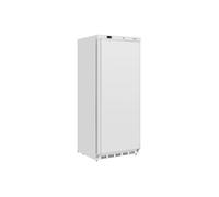 Armoire Réfrigérée Positive Professionnelle Série C Blanche 600 Litres - Polar