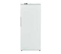 Armoire Réfrigérée Ventilée 600 L - Intérieur ABS