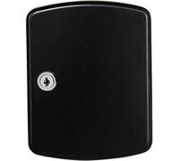 BURG-WÄCHTER, Armoire à Clés, 24 crochets, Adapté pour organigramme, Tôle d'Acier, Hauteur: 255 mm, KB 24 S, Noir