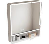 Armoires murales de Salle de Bain, Armoire de Miroir de Salle de Bain avec éclairage, Armoire de Salle de Bain à Double Porte, Armoire de Toilette Murale de Salle de Bain, avec LED et Prise,