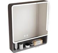 Armoires murales de Salle de Bain, Armoire de Miroir de Salle de Bain avec éclairage, Armoire de Salle de Bain à Double Porte, Armoire de Toilette Murale de Salle de Bain, avec LED et Prise,