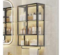 Armoires murales en métal noir/blanc pour salle de bain, meuble de rangement avec portes en polycarbonate et porte-serviettes, organiseur polyvalent pour la maison et la cuisine