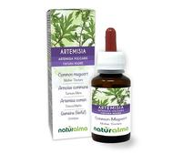 Armoise commune (Artemisia vulgaris) herbe avec fleurs Teinture Mère sans alcool Naturalma - Extrait liquide gouttes 60 ml - Complément alimentaire - Végétalien ou végan