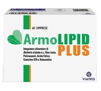 Armolipid Plus Meda 60 Comprimés