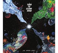 Armon-Jones, Joe - Turn to Clear View [Import]