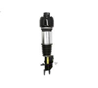 Armortisseur pneumatique ARNOTT EUROPE AS-2246 pour CLS (C219) 3 2005-201