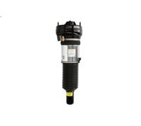 Armortisseur pneumatique ARNOTT EUROPE AS-2864 pour AUDI A6 C6 (4F2) 3 2004-2011