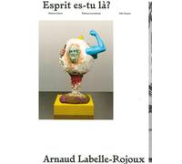 Arnaud Labelle-Rojoux Esprit es-tu là ? - Arnaud Labelle-Rojoux - Dilecta Eds - relié - Catalogue d'exposition