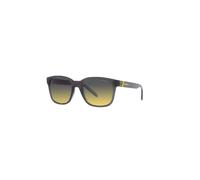 Arnette, unisex, Accessoires, Gris, Taille: ONE Size Lunettes de soleil à monture en résine