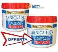 Arnica 100's Pearson 500 ML → Gel Refroidissement Avec Griffe Du Diable, Menthol