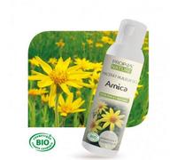 Arnica Bio - Macérât Huileux D'arnica Montana 100 Ml - Propos Nature