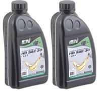 ARNOLD 6012-X1-0031 Huile 4 Temps SAE 30, Noir, 1 L (Lot de 2)