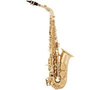 Arnolds & Sons AAS-110YG