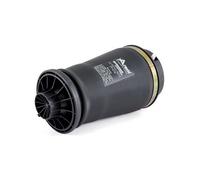 Ressort pneumatique ARNOTT EUROPE A-2596