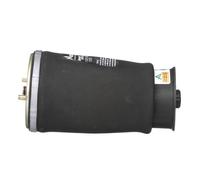 Ressort pneumatique ARNOTT EUROPE A-2737 gauche