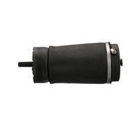 Ressort pneumatique ARNOTT EUROPE A-2831