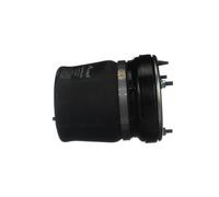 Ressort pneumatique ARNOTT EUROPE A-2861