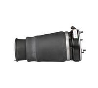 Ressort pneumatique ARNOTT EUROPE A-2862 gauche