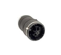 Arnott A-3027 Ressort pneumatique
