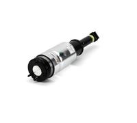 Arnott Amortisseur Télescopique Pneumatique Avant pour Land Rover IV L319 La II