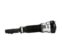 Amortisseur pneumatique ARNOTT EUROPE AS-2193