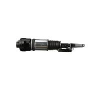 Arnott AS-2294 Amortisseur pneumatique