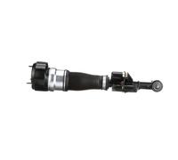 Arnott AS-2547 Amortisseur pneumatique