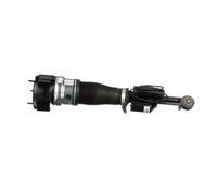 Arnott AS-2548 Amortisseur pneumatique