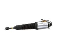 Arnott AS-2562 Amortisseur pneumatique
