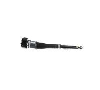 Arnott AS-2604 Amortisseur pneumatique