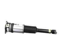 Arnott AS-2959 Amortisseur pneumatique