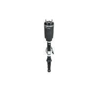 Arnott AS-3088 Amortisseur pneumatique