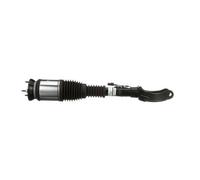 Arnott AS-3153 Amortisseur pneumatique