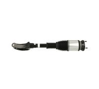 Arnott AS-3155 Amortisseur pneumatique