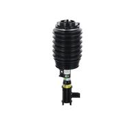 Arnott AS-3899 Amortisseur pneumatique