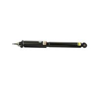 Arnott SK-2225 Amortisseur