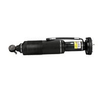 Arnott SK-2412 Amortisseur pneumatique