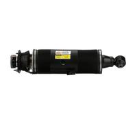Arnott SK-2415 Amortisseur pneumatique