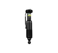 Arnott SK-2418 Amortisseur pneumatique