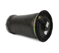 Arnott Walker A-2692 Air Printemps
