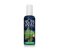 Aromaspray He Menth/Eucal Spr100ml