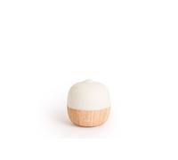 CREATE/AROMA STUDIO/Diffuseur d'arômes et humidificateur en bois naturel/Émet de la vapeur froide avec des propriétés humidifiantes et d'aromathérapie, 7 couleurs de lumières LED, 120 ml, 5 W